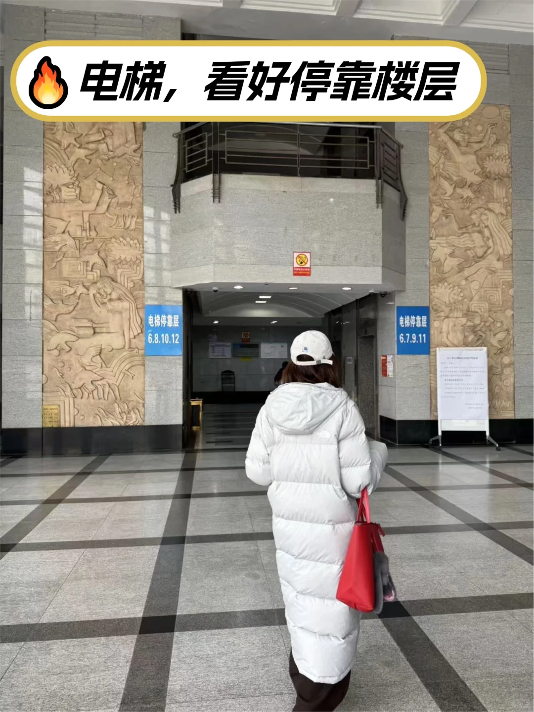 南京林业大学丨考研路线图看这里!