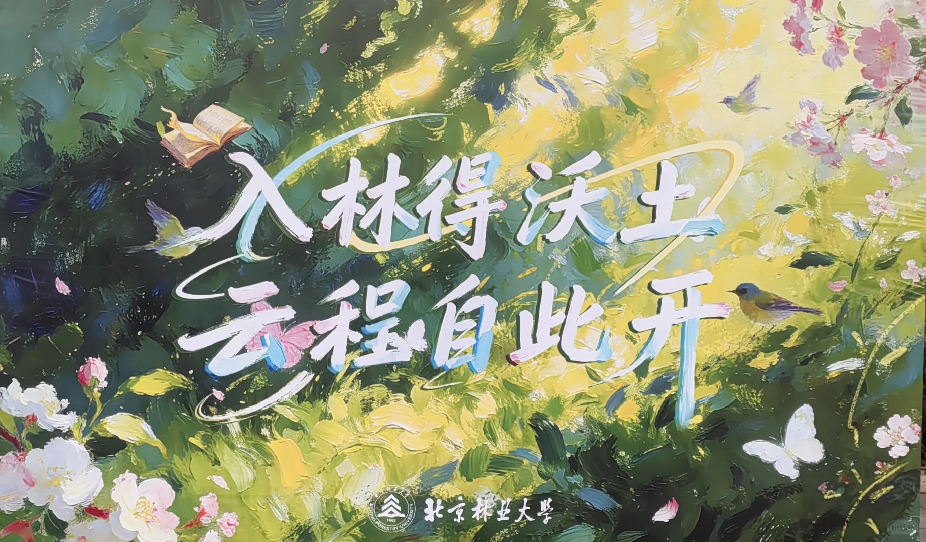 20251219-7（北京林业大学）