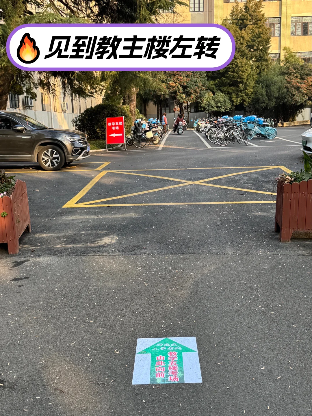 风景园林考研丨南京林业大学考研路线来啦❗️