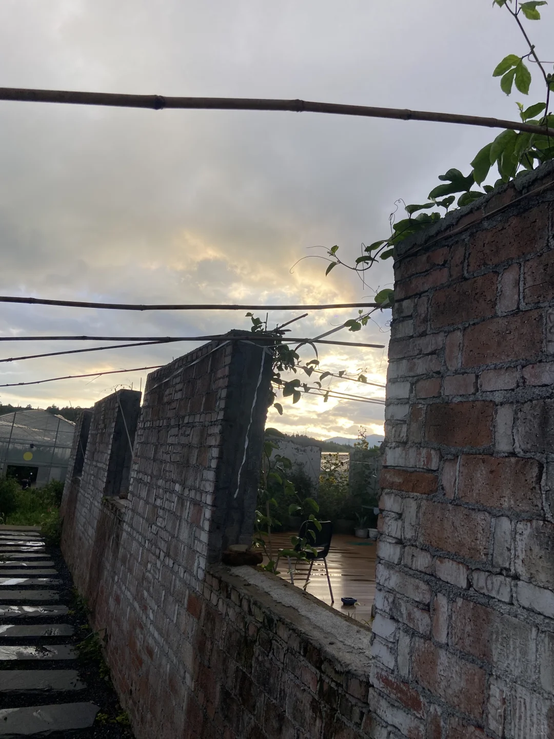 不需要学历，不需要文凭，要的是对农业的心！