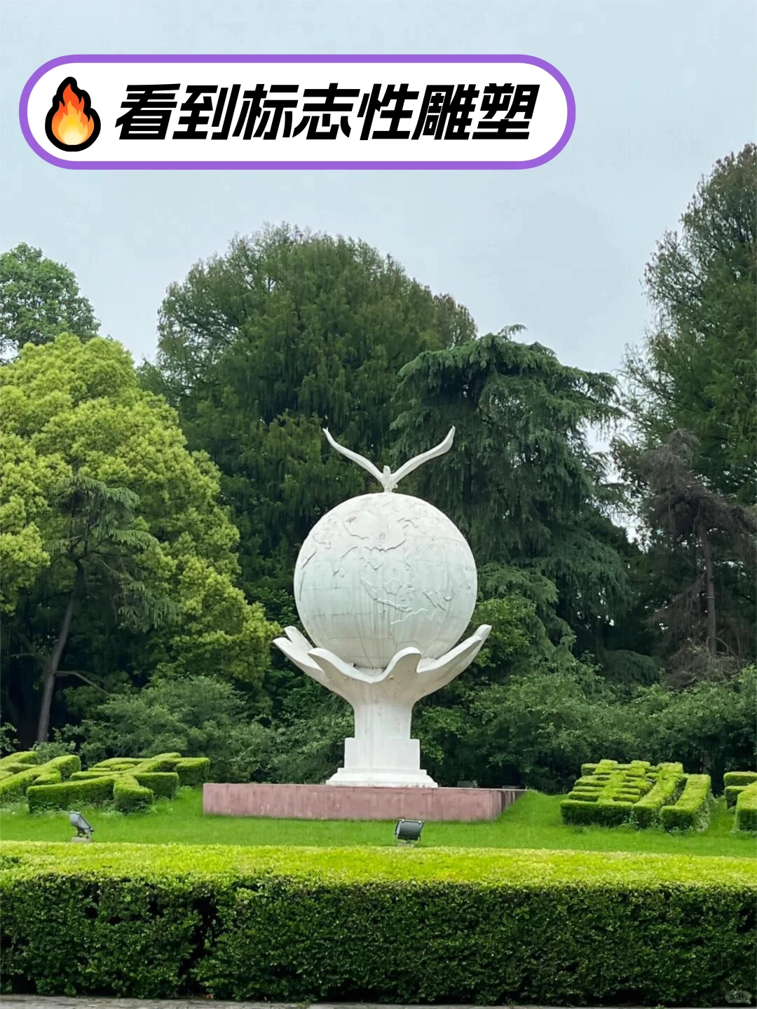 风景园林考研丨南京林业大学考研路线来啦❗️