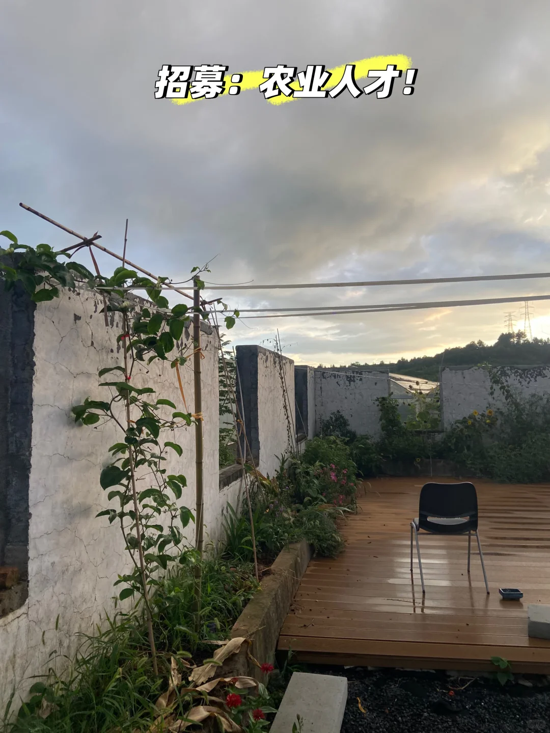 不需要学历，不需要文凭，要的是对农业的心！