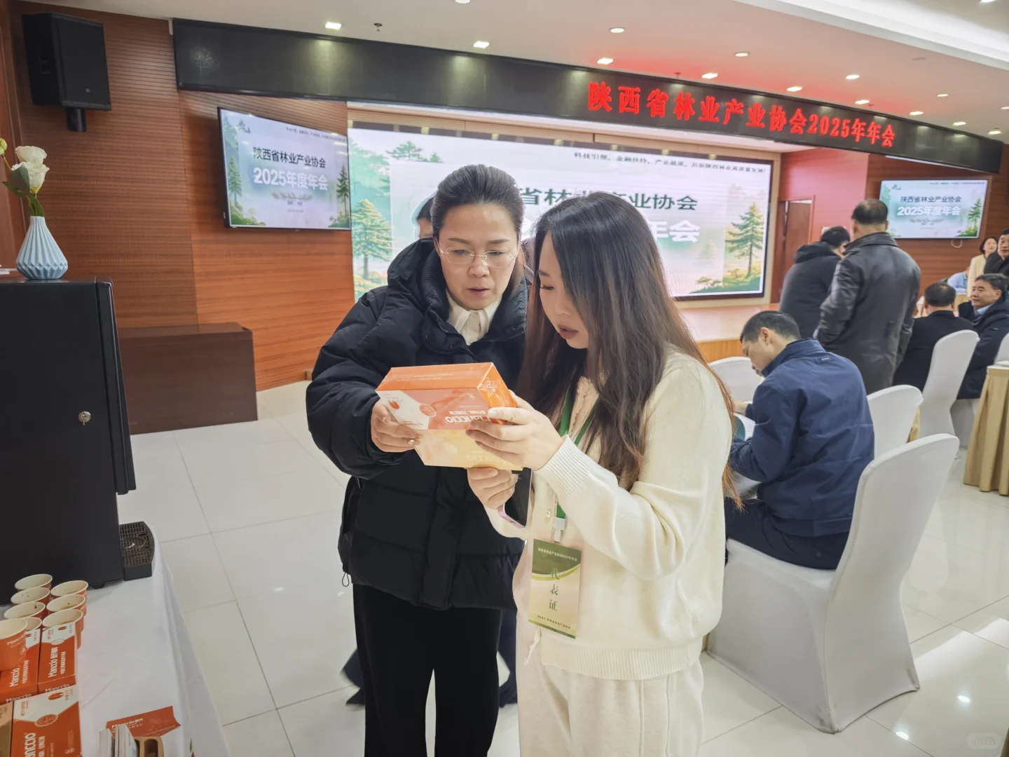 曼乔赴一场林业之约