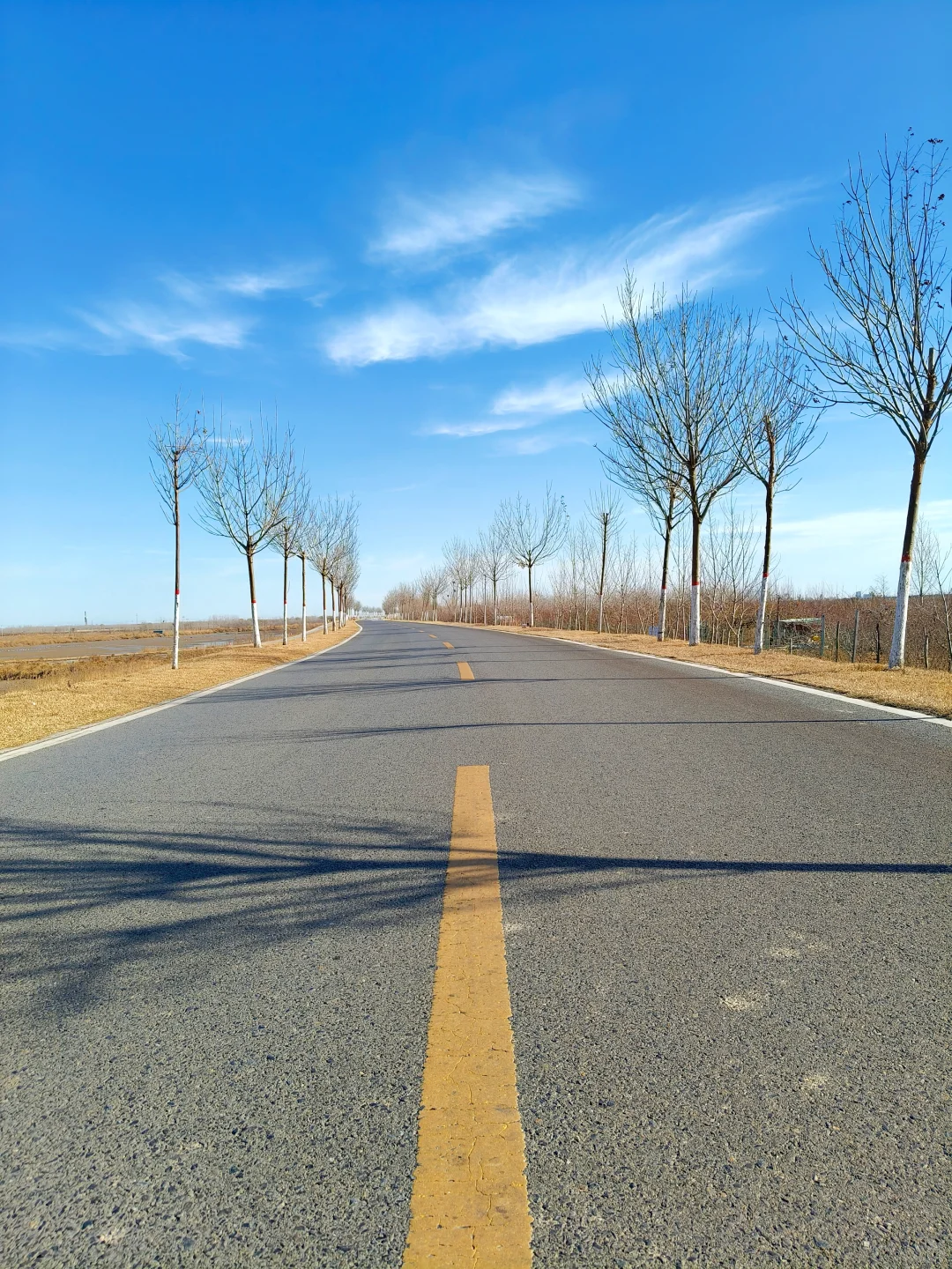 济南🔁东营一日游！附免费看鸟浪位置！