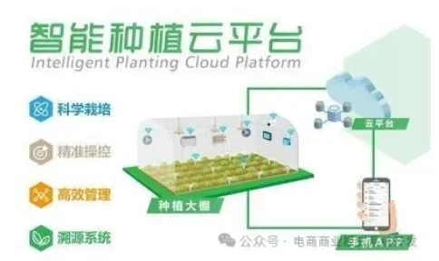 云养殖：让消费者成为‘虚拟牧场主’