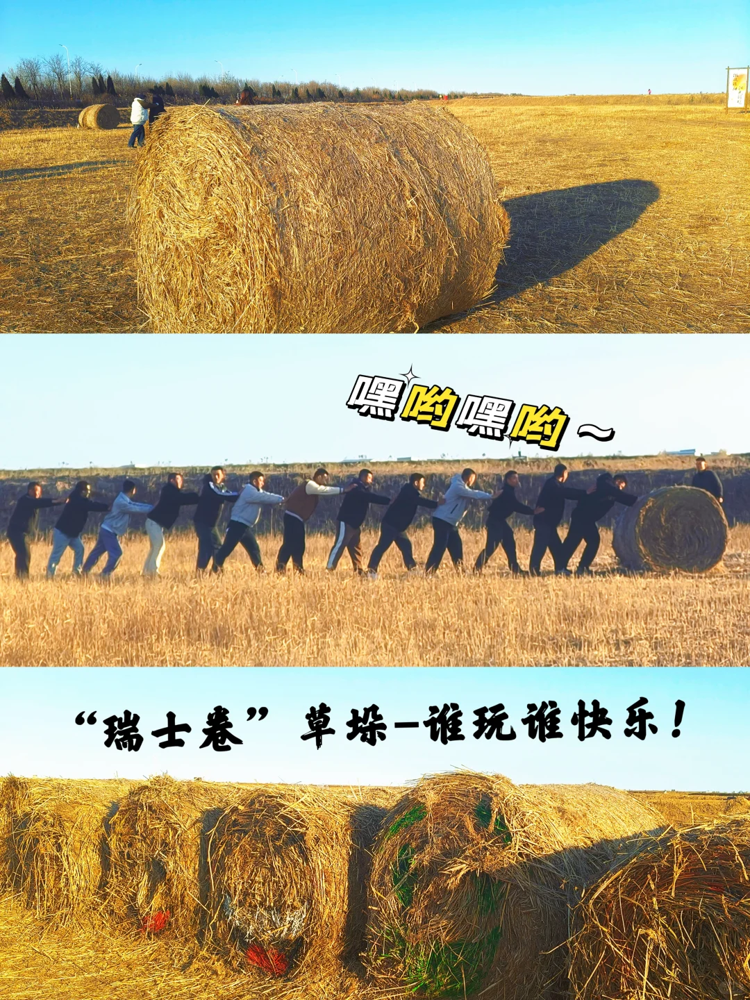 济南🔁东营一日游！附免费看鸟浪位置！