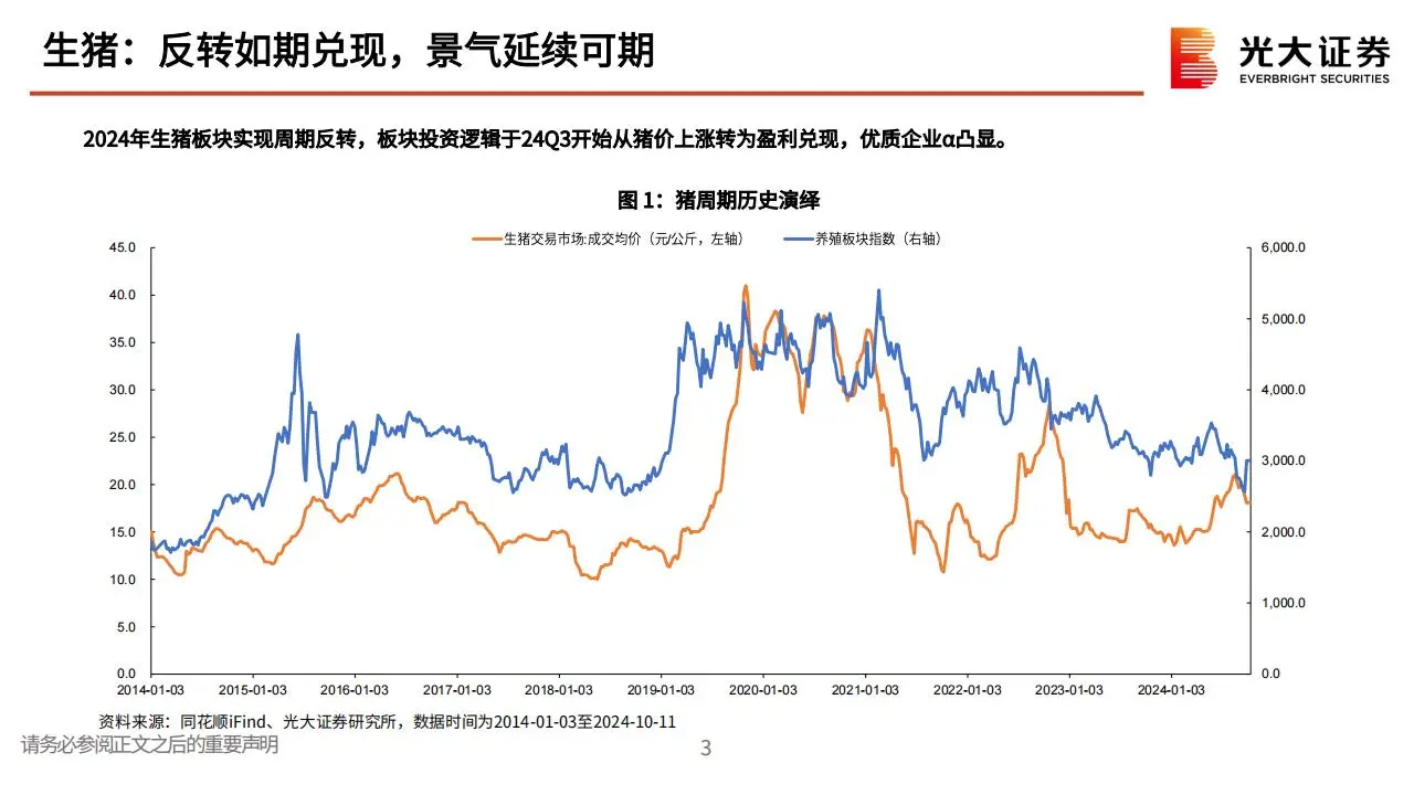 农林牧渔行业2025年投资策略