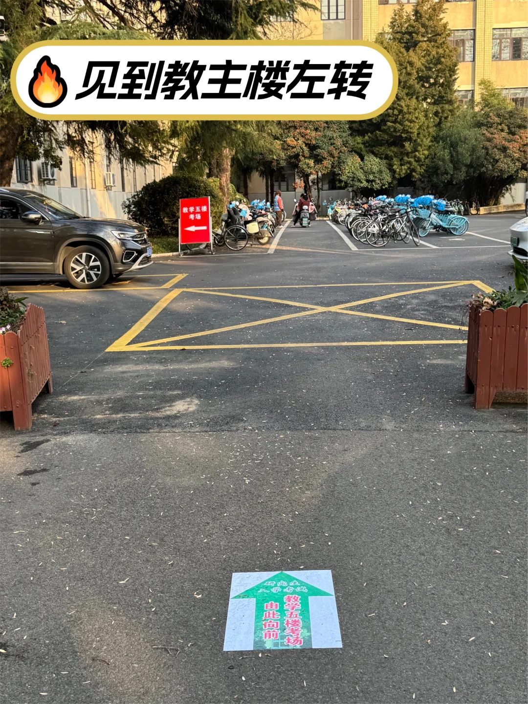 南京林业大学丨考研路线图看这里!