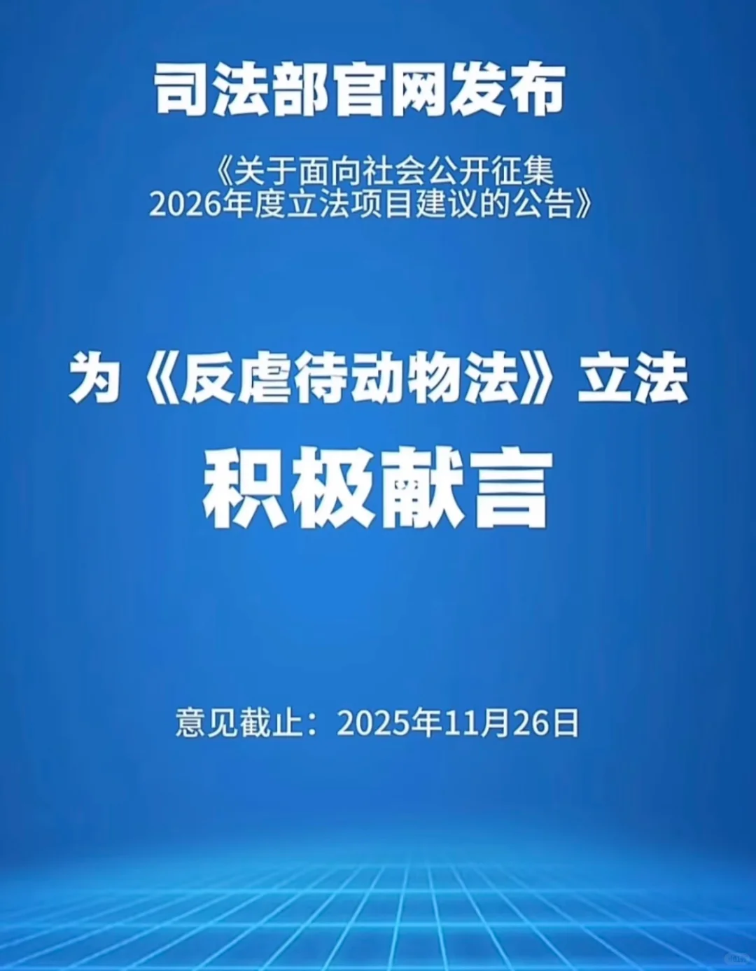 为《反虐待动物保护法》积极献言
