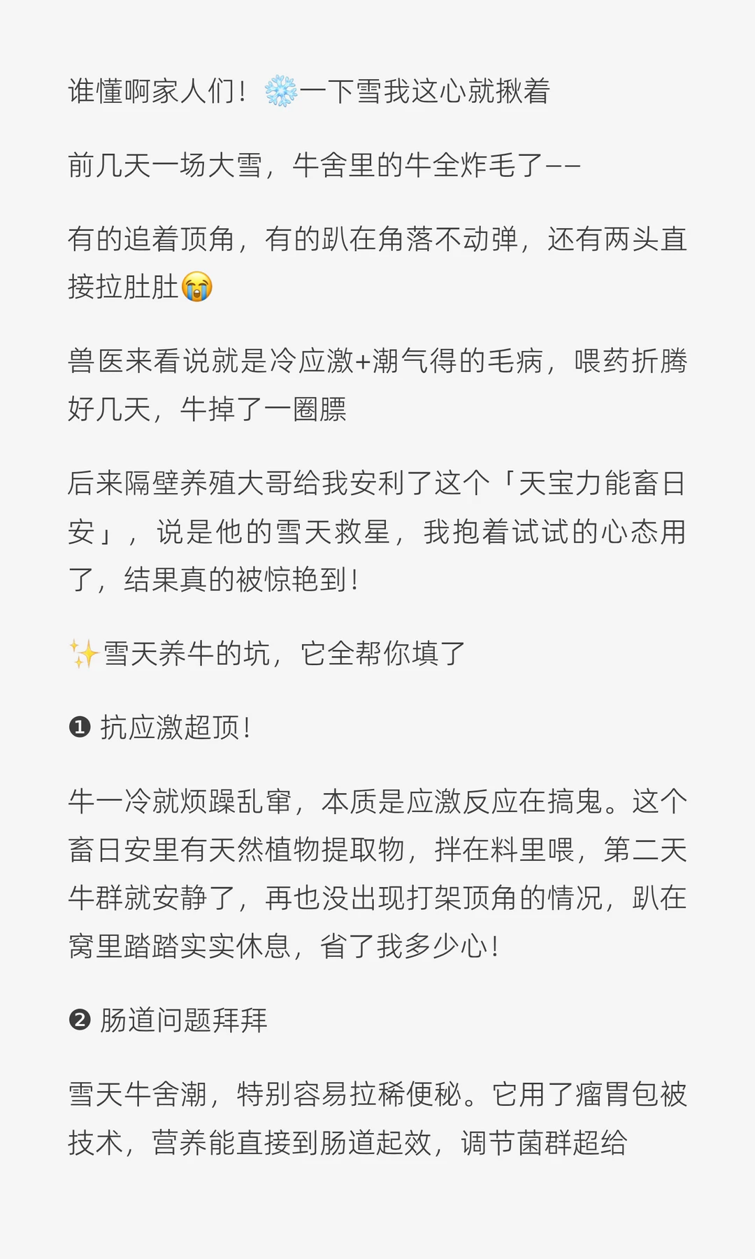 雪天养牛别硬扛！有它牛群稳如老狗🐂