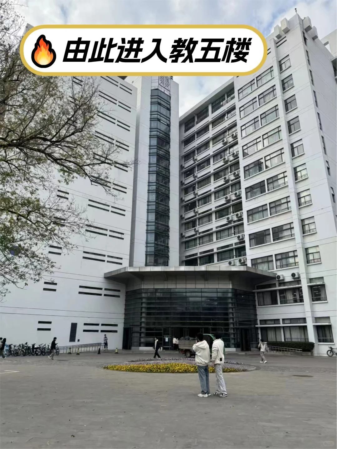 南京林业大学丨考研路线图看这里!