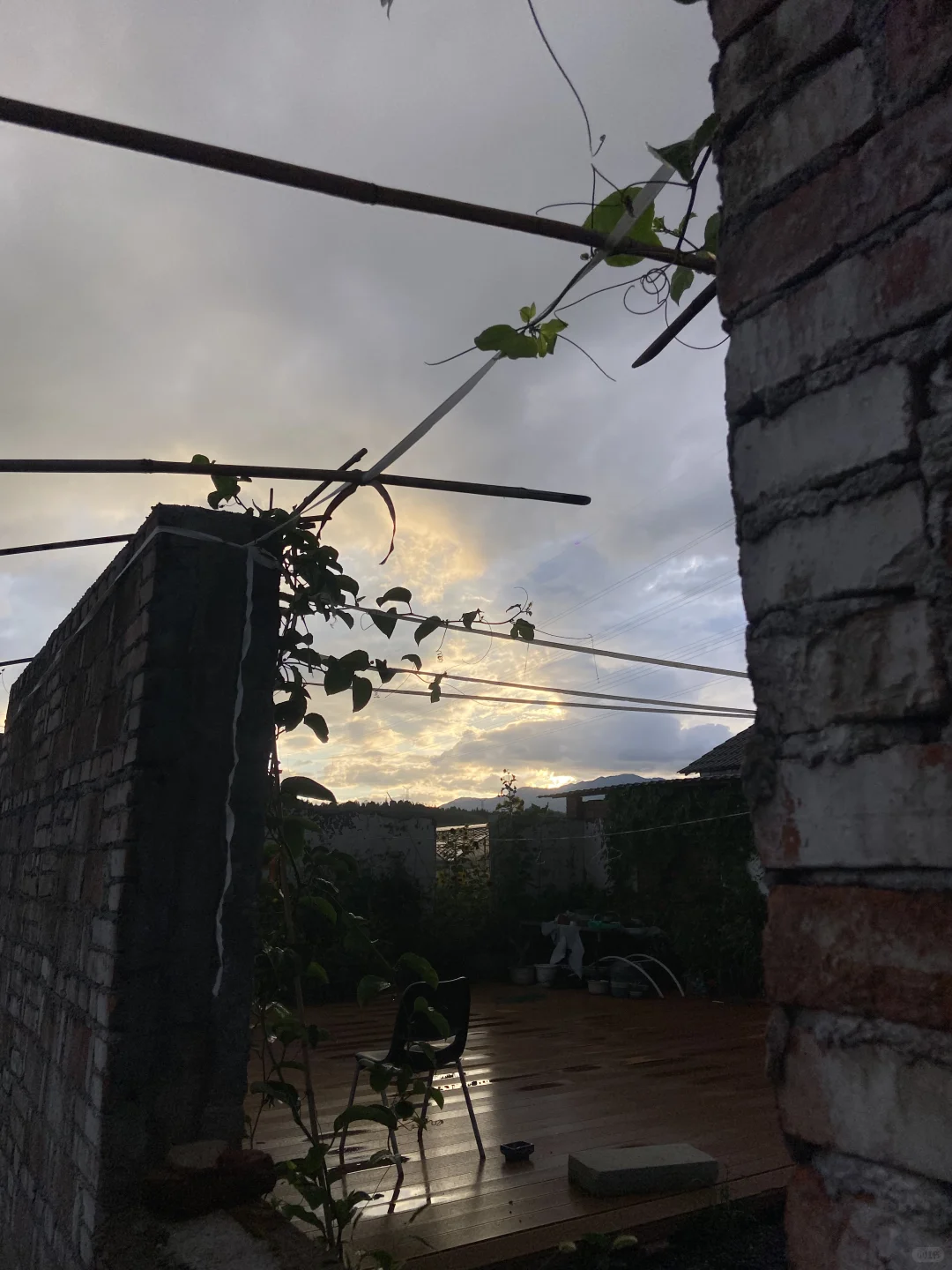 不需要学历，不需要文凭，要的是对农业的心！