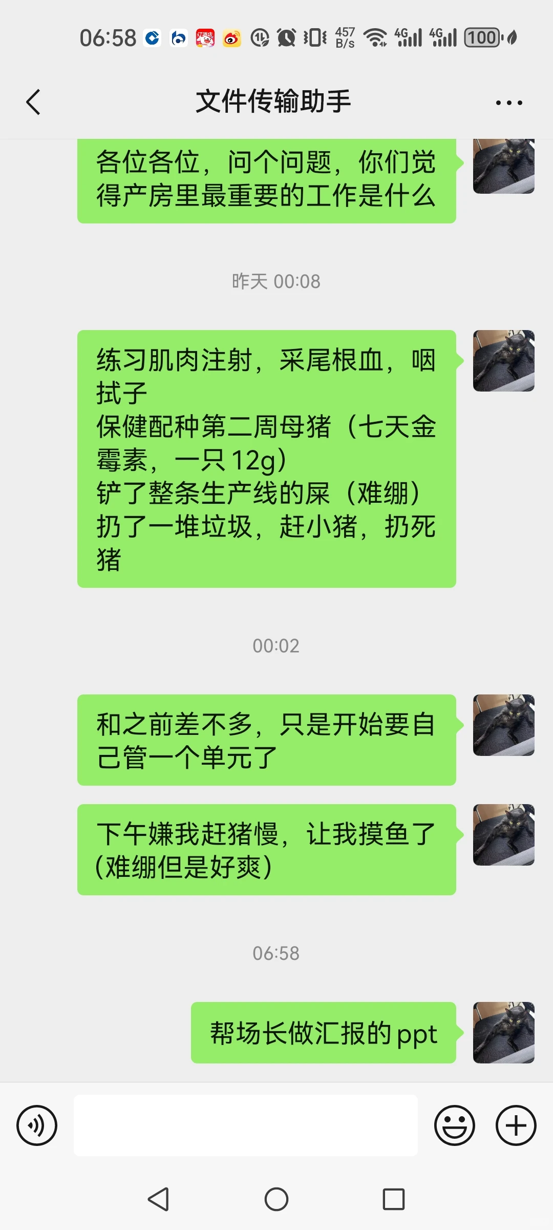 00后养猪第十天，重复的工作开始多了
