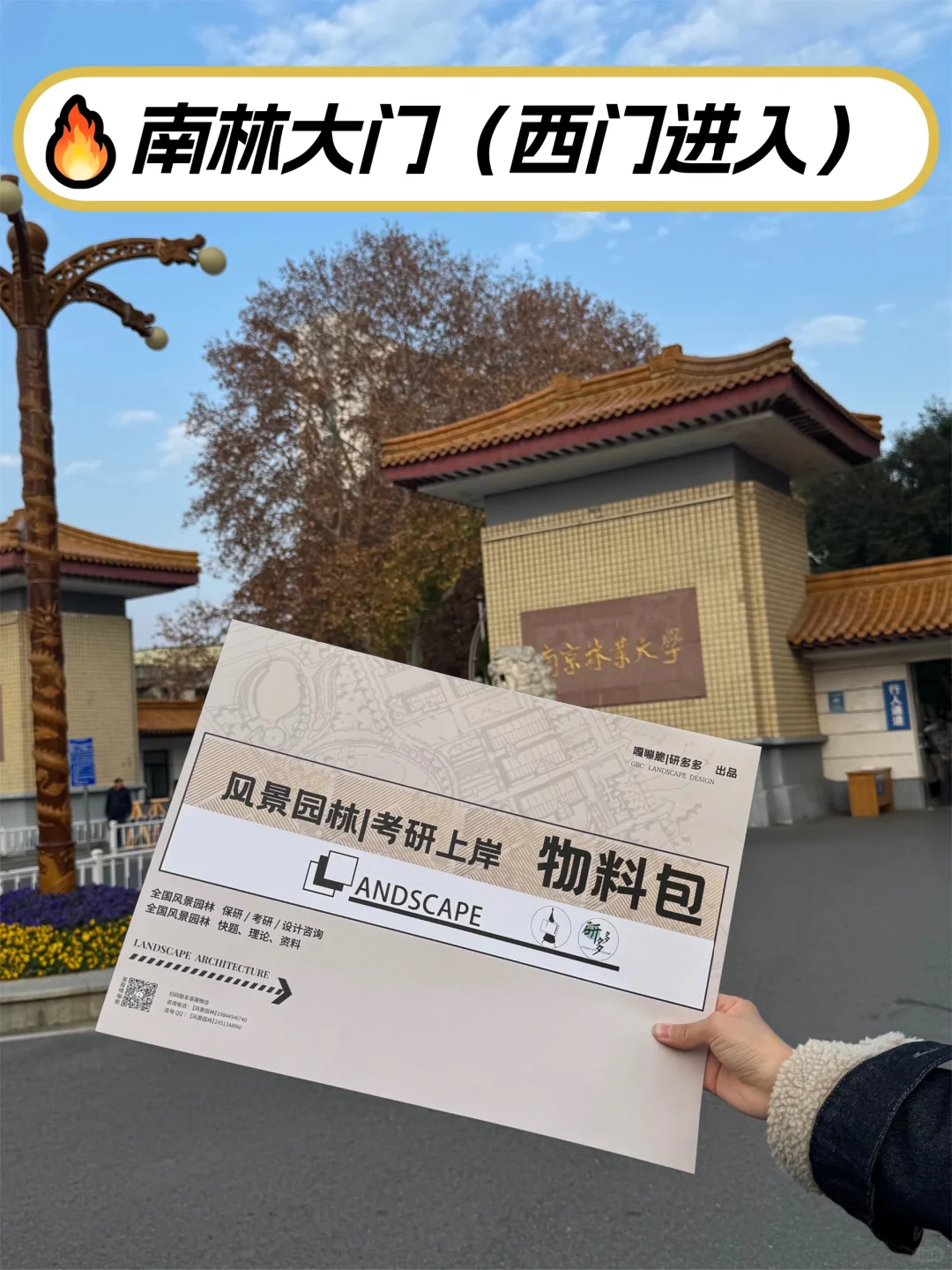 南京林业大学丨考研路线图看这里!