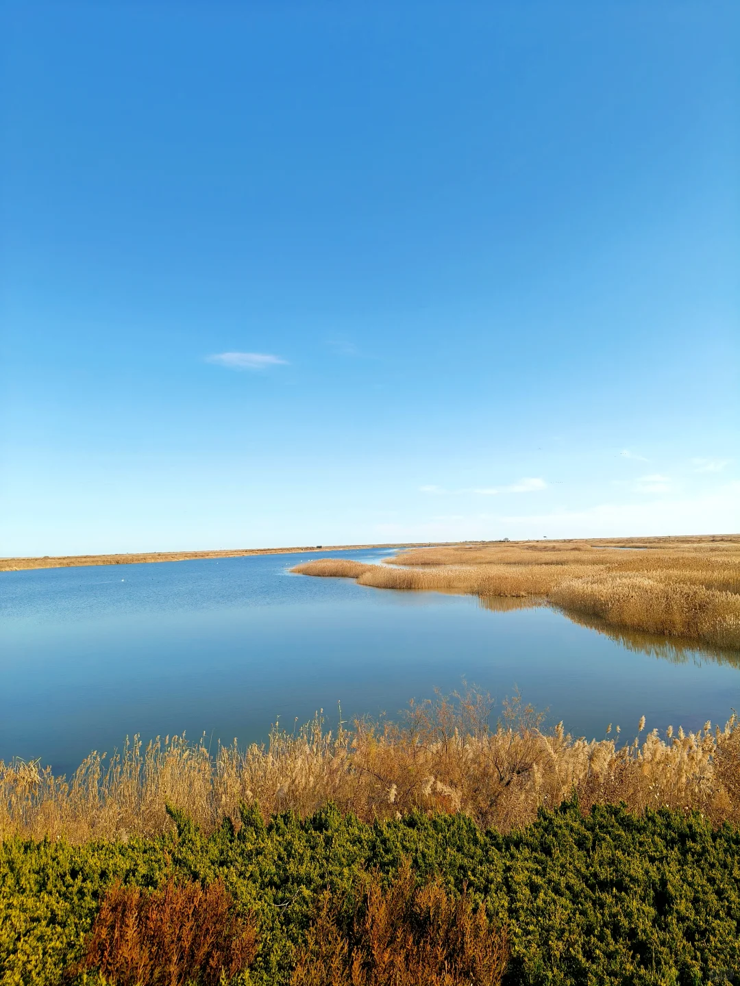 济南🔁东营一日游！附免费看鸟浪位置！