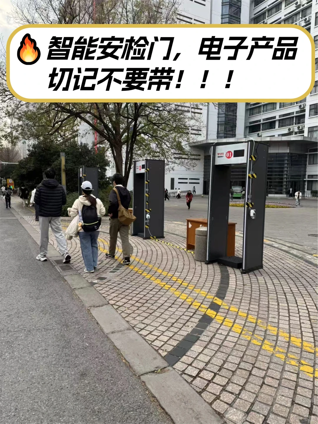 南京林业大学丨考研路线图看这里!