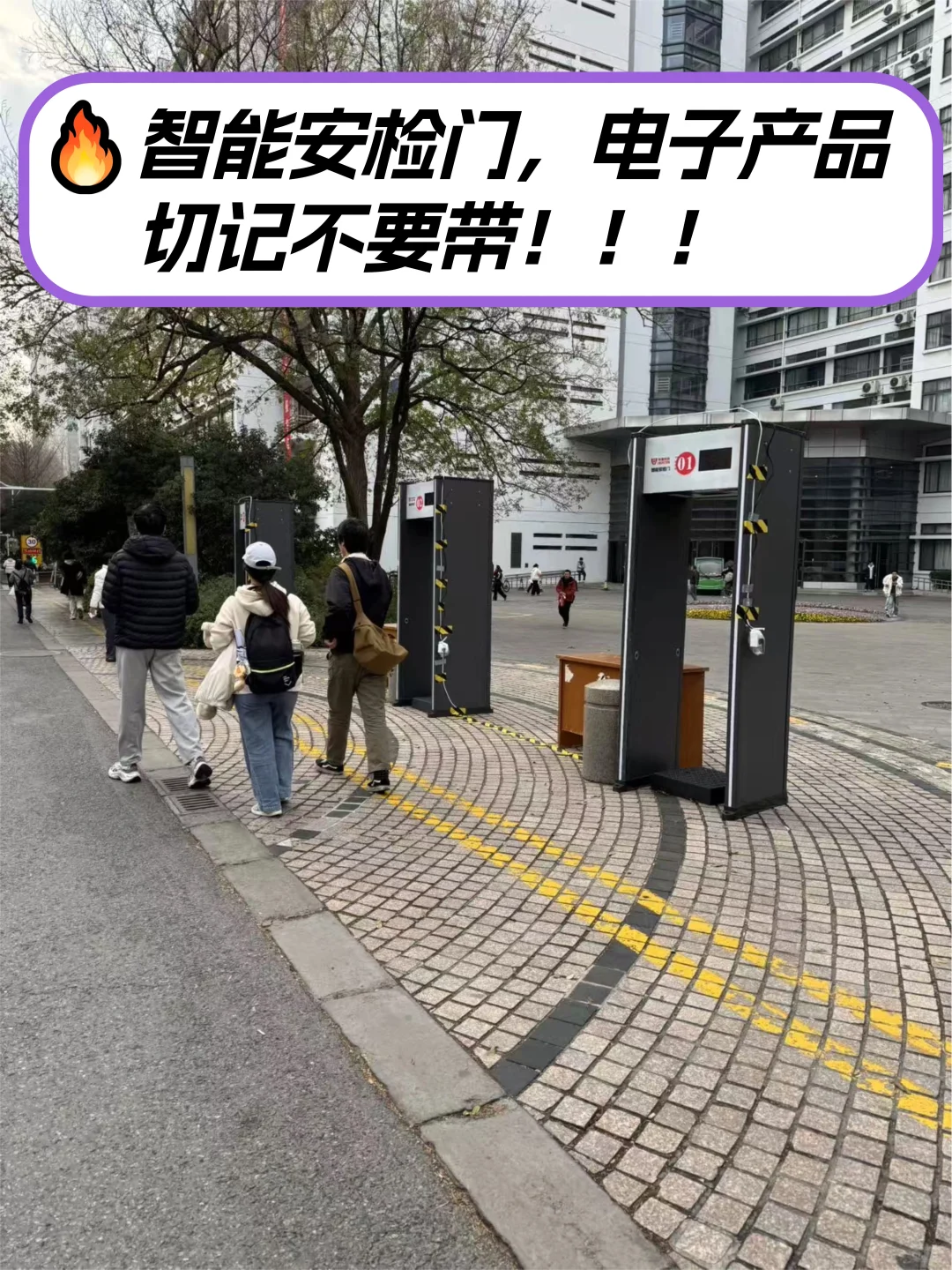 风景园林考研丨南京林业大学考研路线来啦❗️