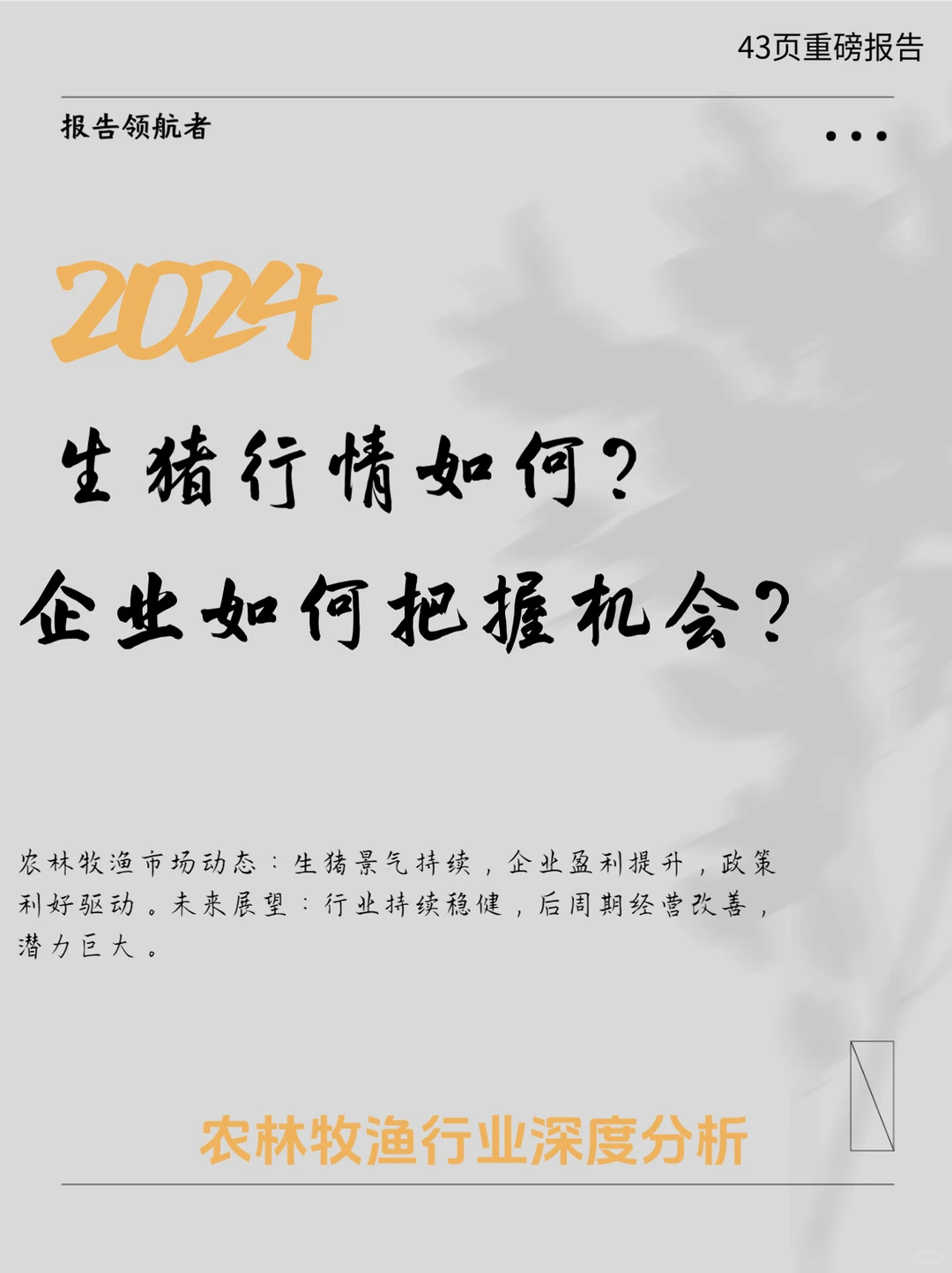 2024农林牧渔行业投资策略