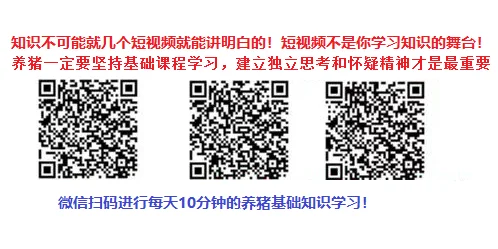 生猪黄金时代，你准备好了吗？