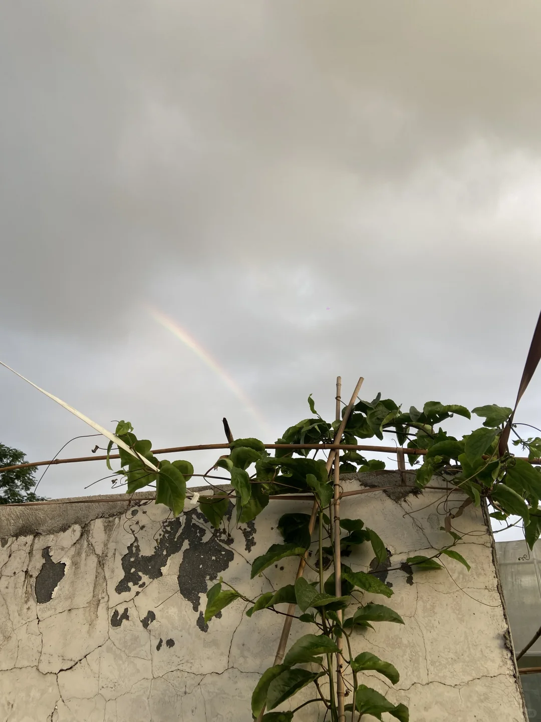 不需要学历，不需要文凭，要的是对农业的心！