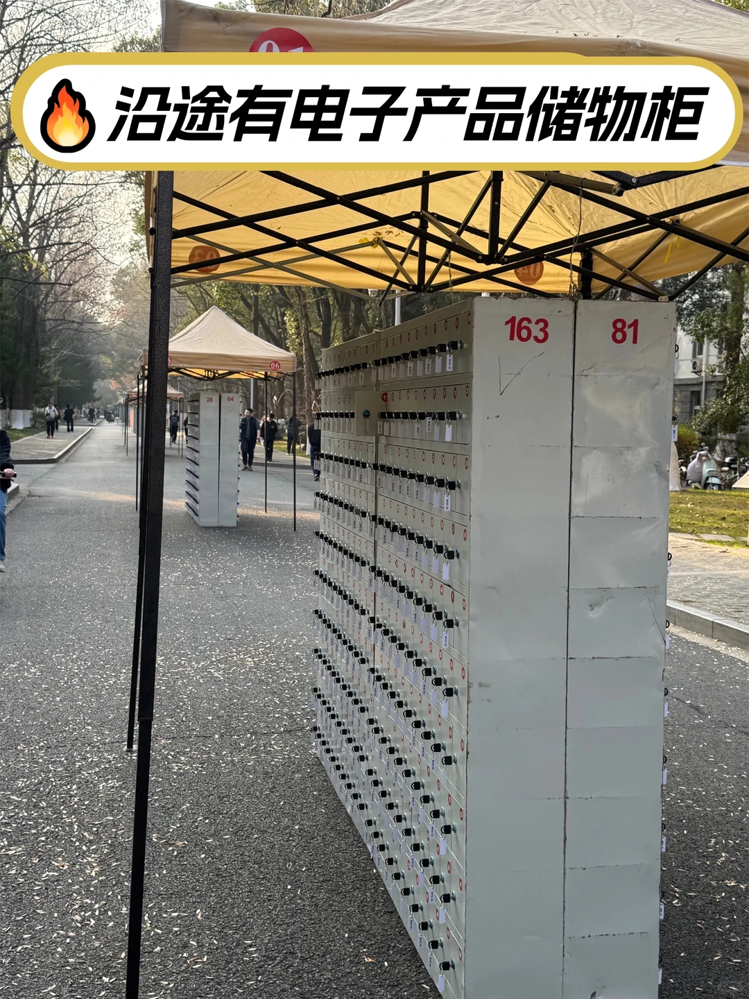 南京林业大学丨考研路线图看这里!