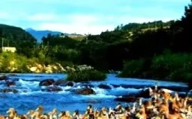 省级农业类专刊知网检索《湖南农业》