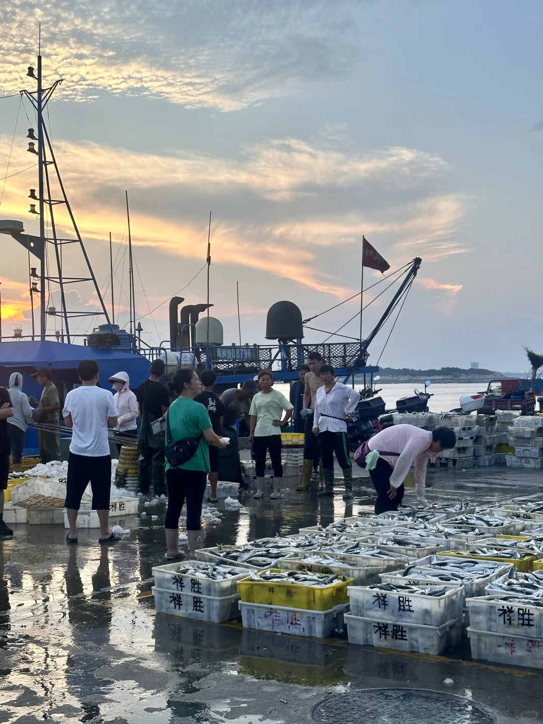 祥芝码头/福建人的小威海🌊