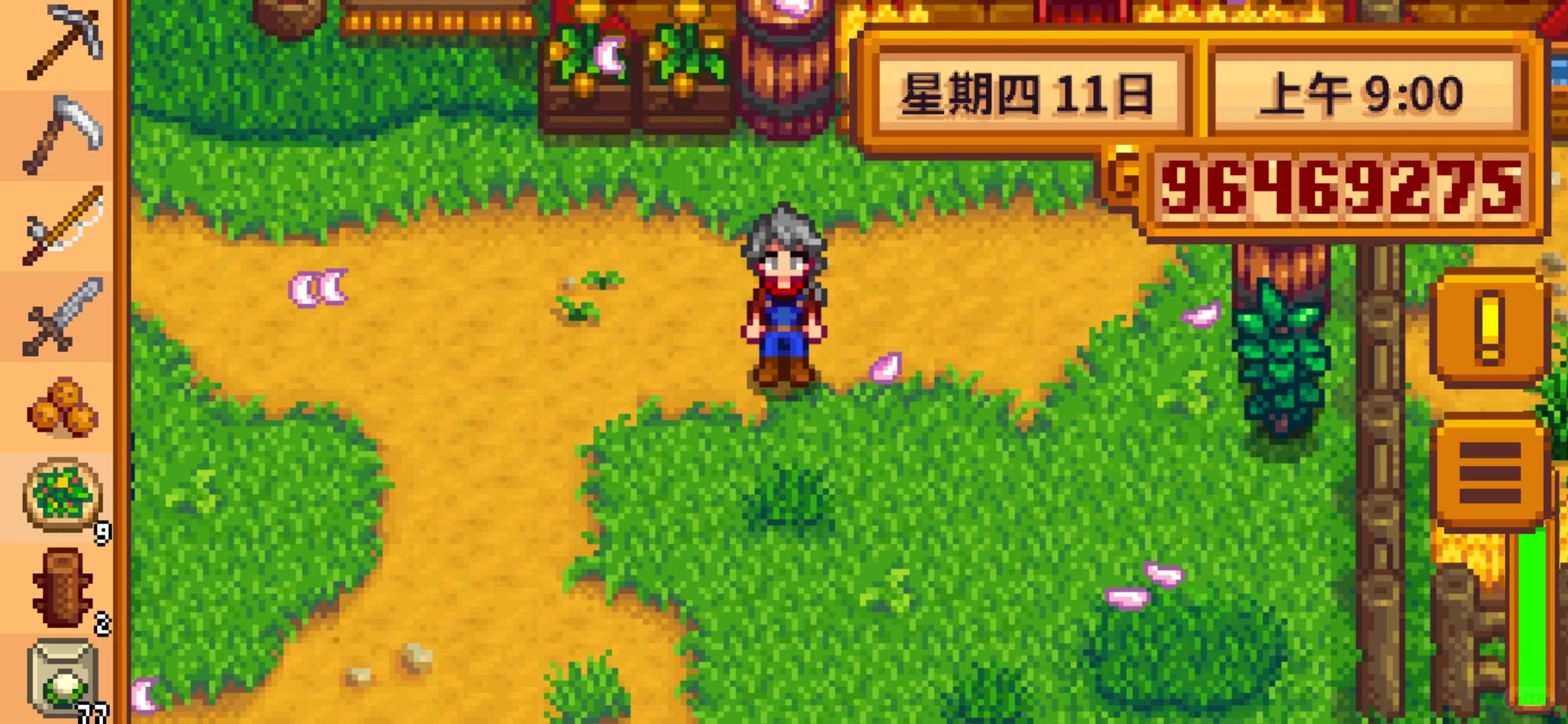 老乡，该发展畜牧业了