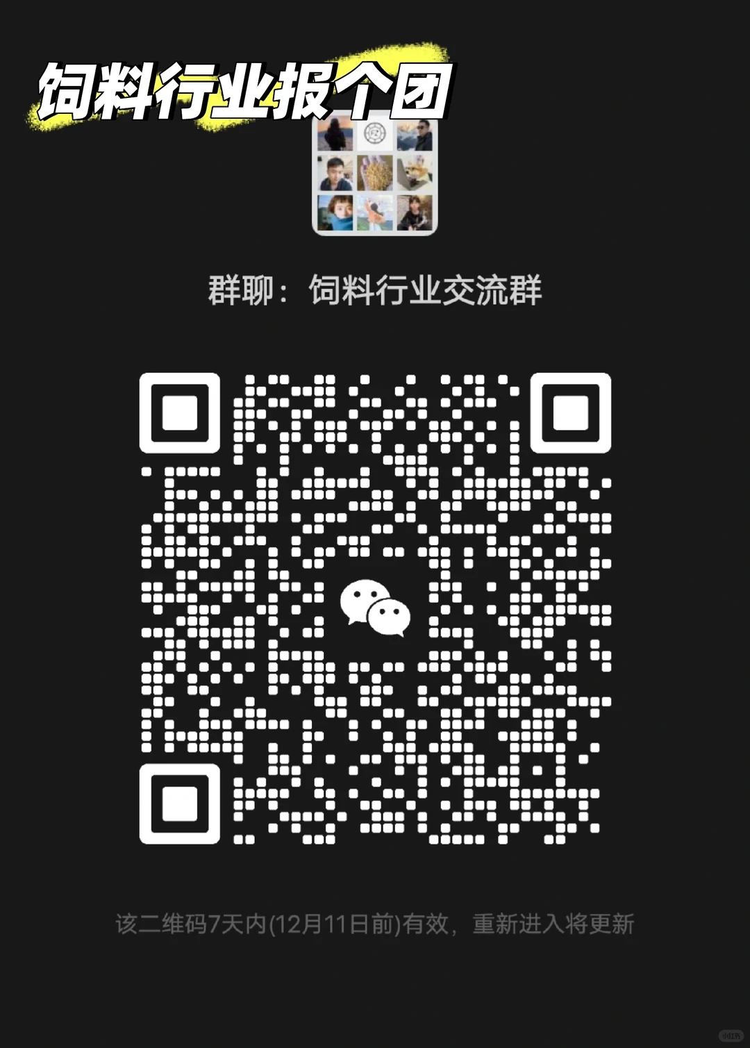 饲料行业看过来啦！报个团。