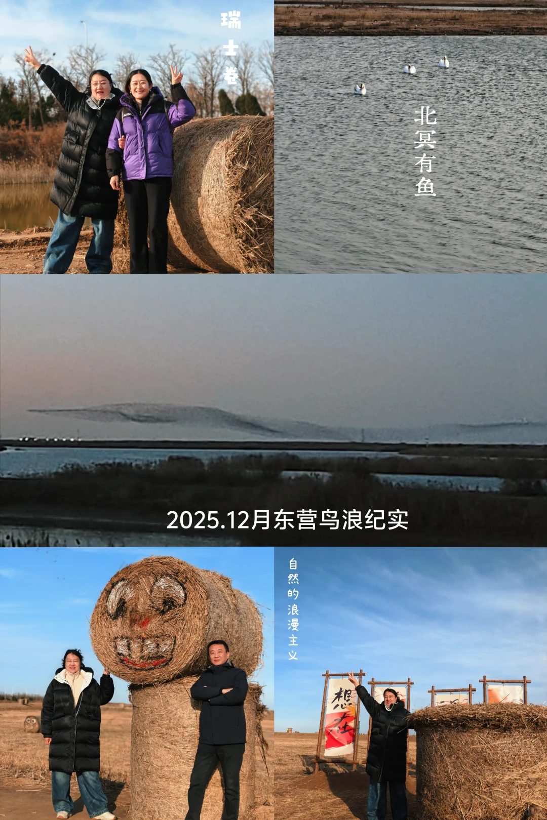 看鸟浪、撸草垛、炫深海鱼锅附攻略