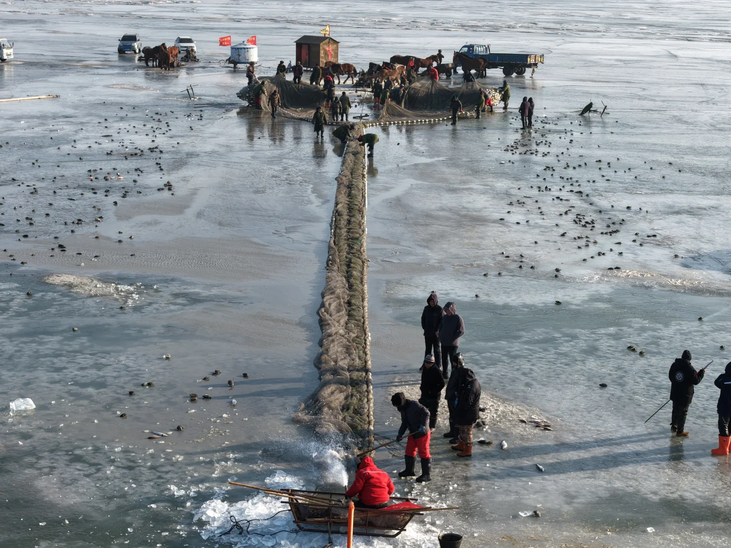 查干湖冬捕第一天
