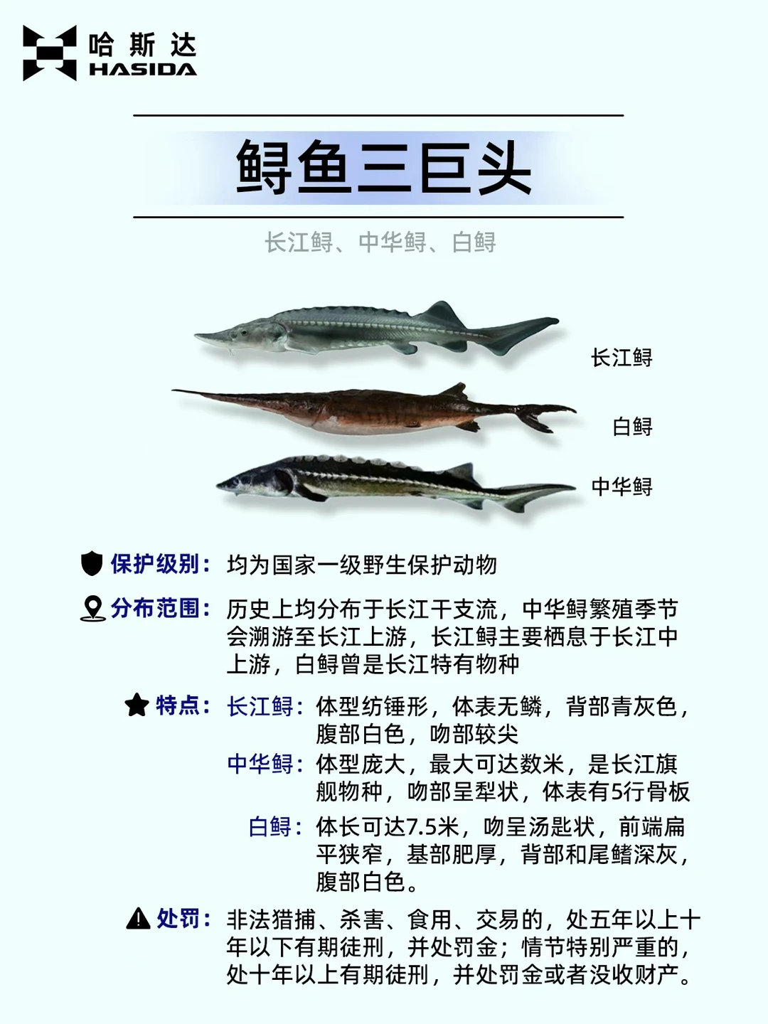 钓鱼人保命！这12种鱼遇到一定要放生⚠️