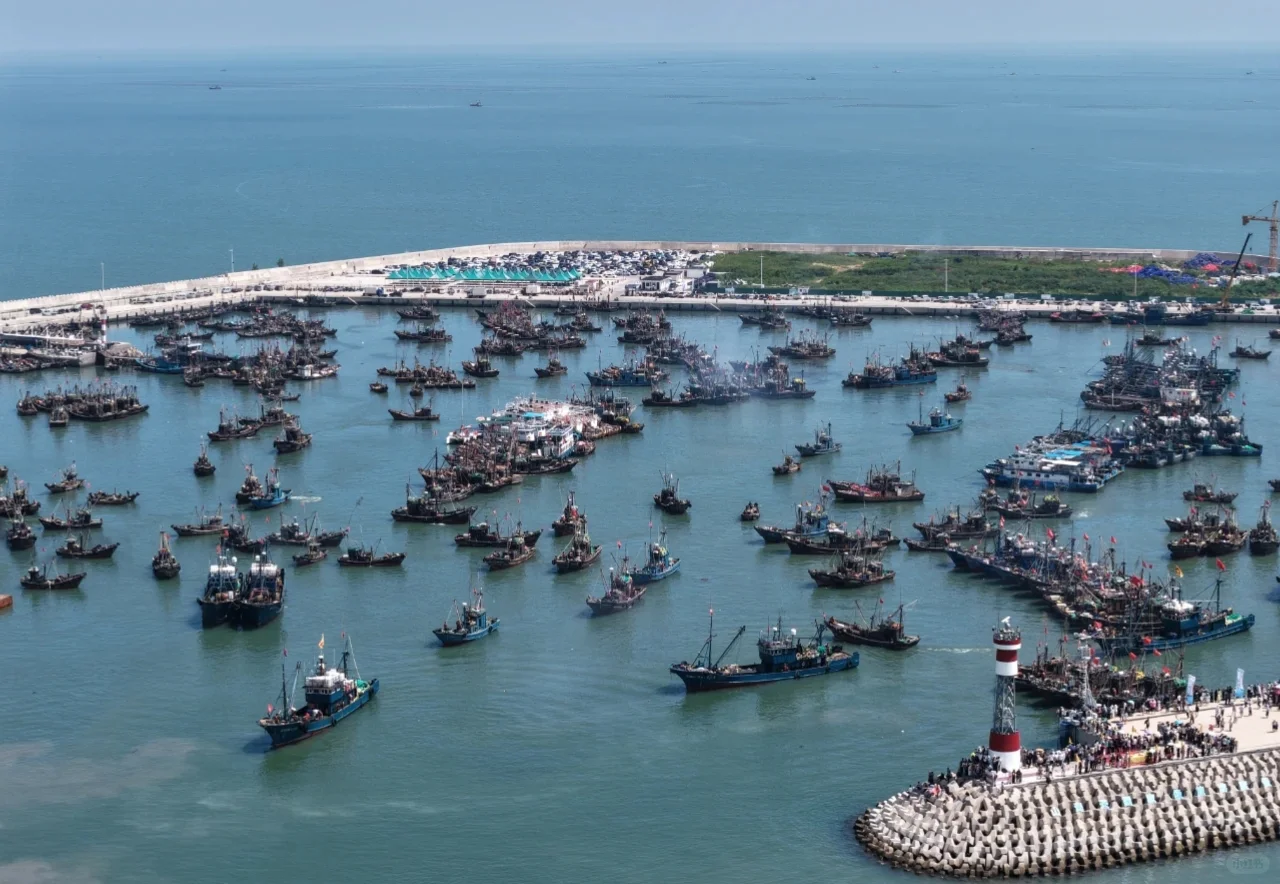 日照开海了，第一鲜啥时候上岸