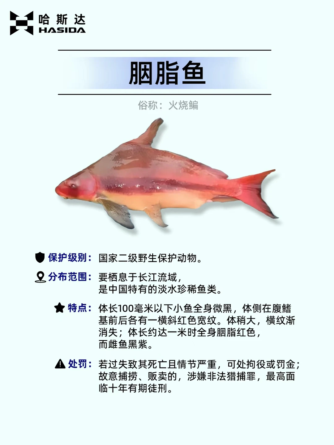 钓鱼人保命！这12种鱼遇到一定要放生⚠️