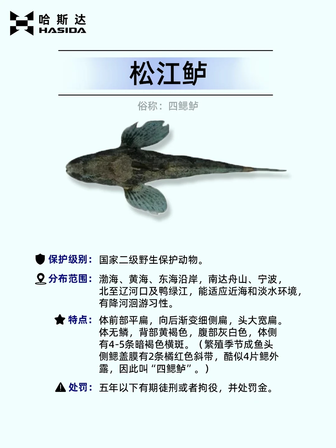 钓鱼人保命！这12种鱼遇到一定要放生⚠️