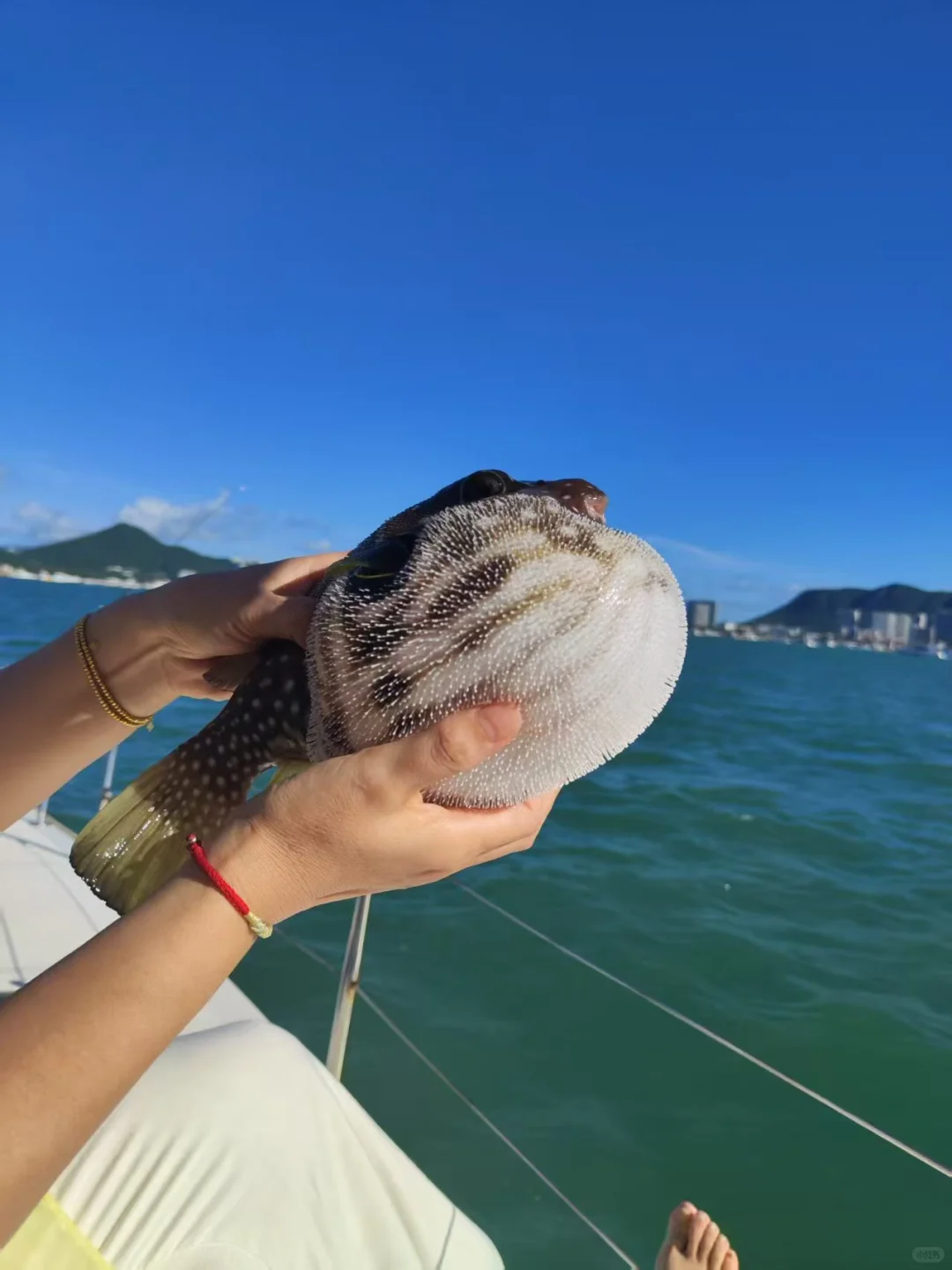 三亚海钓赢麻了！🎣每只都长在审美上！