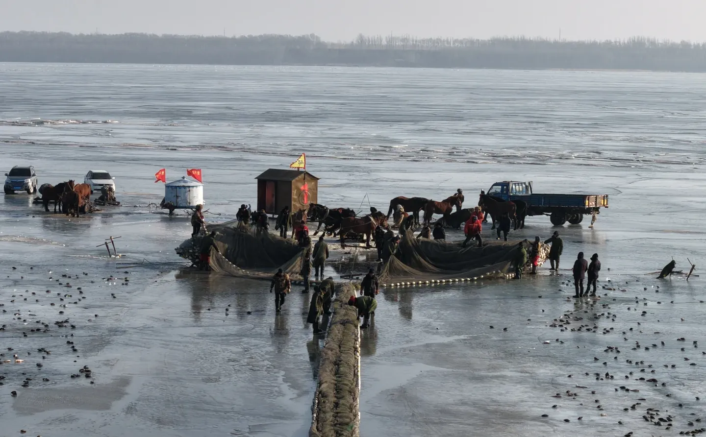 查干湖冬捕第一天
