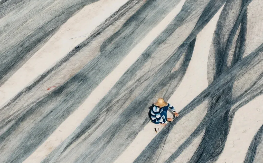 刷到这组海边渔获照，瞬间破防了🌊