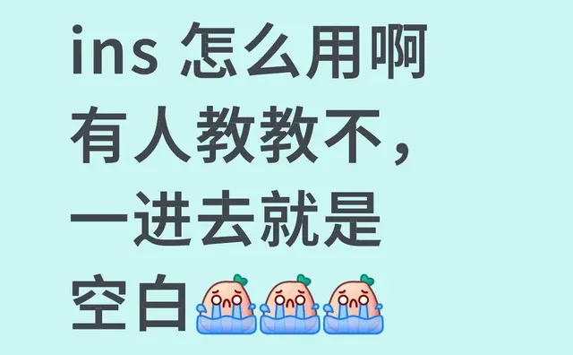 ins 怎么用啊有人教教不，一进去就是空白