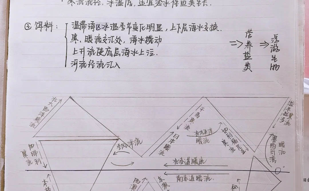 地理笔记🐬|高三地理复习