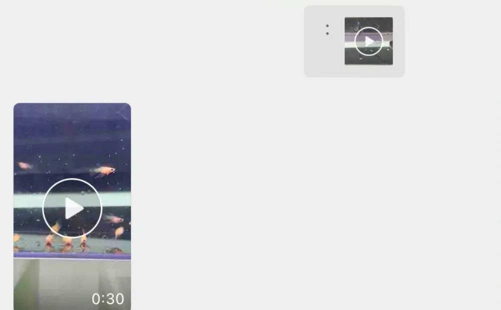 我是不是不适合卖鱼呢？