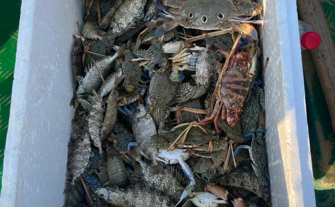 出海捕鱼 300块钱不知道赚了还是亏了