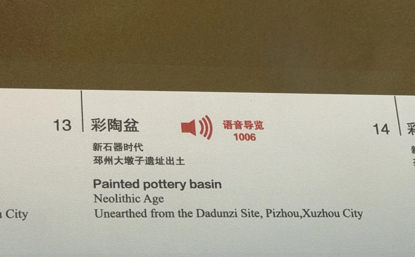 微笑了五千年的江豚 戴个帽子也不是鸟