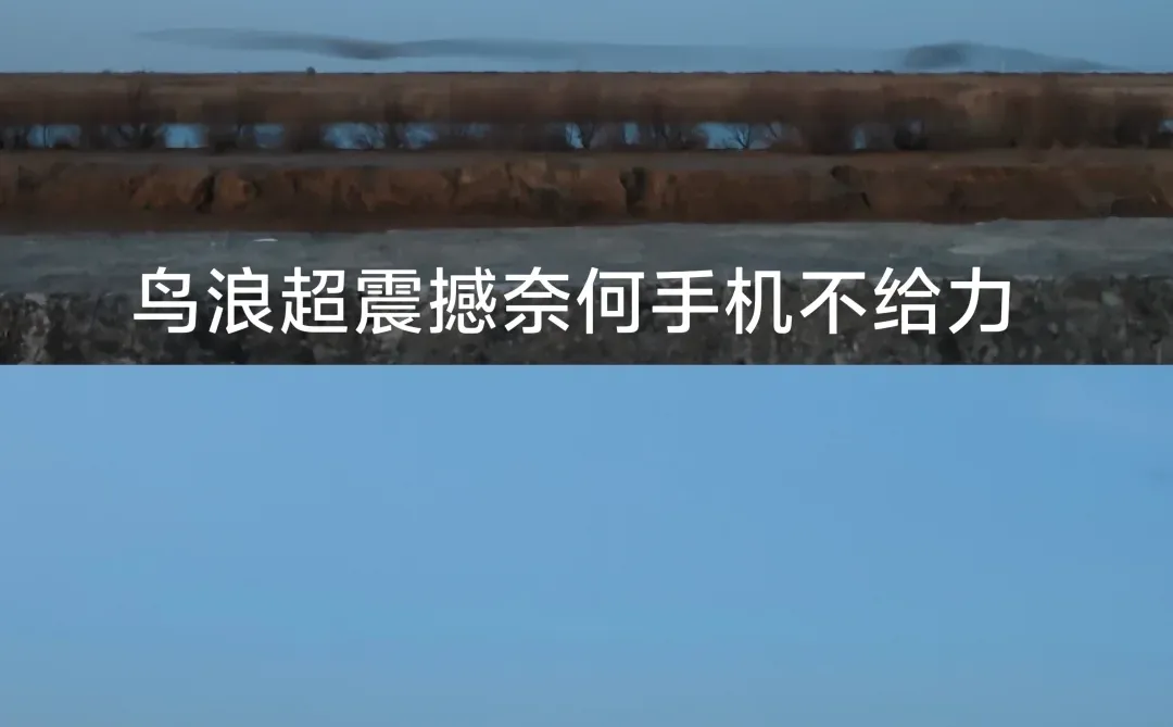 看鸟浪、撸草垛、炫深海鱼锅附攻略