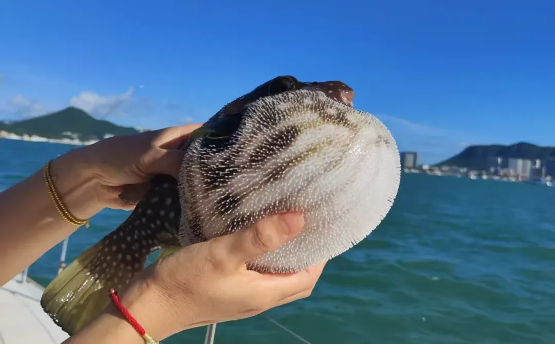 三亚海钓赢麻了！🎣每只都长在审美上！