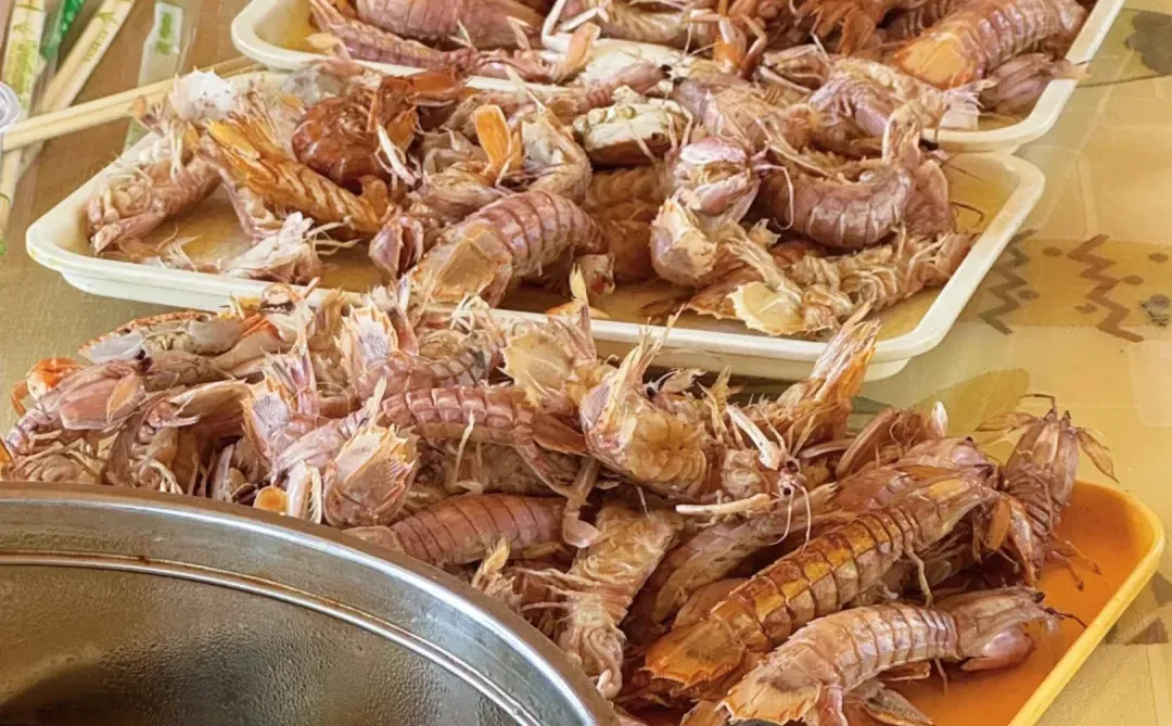 天津站出海捕鱼攻略来啦🌊