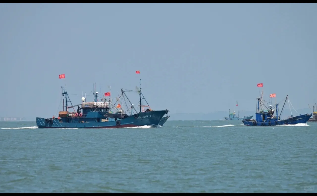 日照开海了，第一鲜啥时候上岸