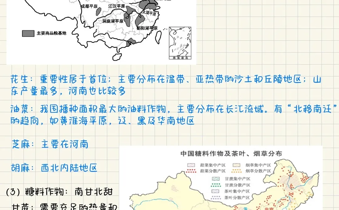 全网整理最全关于中国农业全部知识点‼️