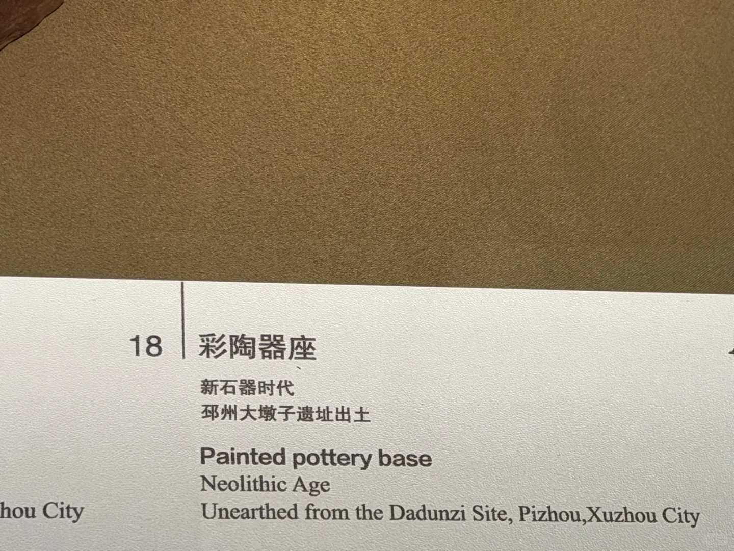 微笑了五千年的江豚 戴个帽子也不是鸟