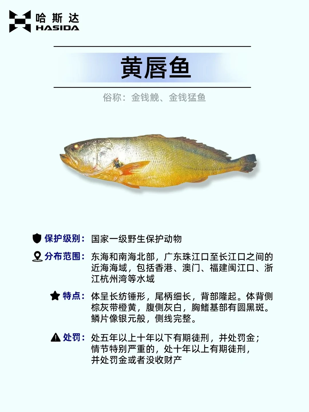 钓鱼人保命！这12种鱼遇到一定要放生⚠️